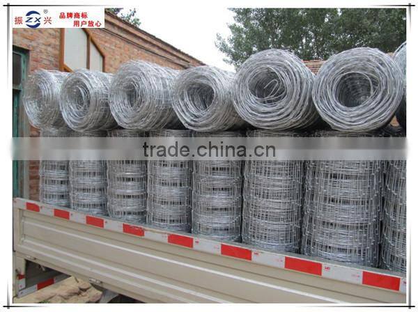 Guangzhou supplier manufacturing galvanized wire mesh roll wire horse gardening ZX-NLW002