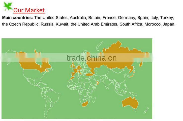 Wooden novelty cell phone holder