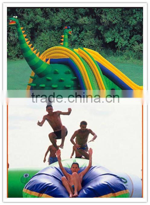 Hot Selling Commercial Inflatable Slide Giant Inflatable Slidefor Pool