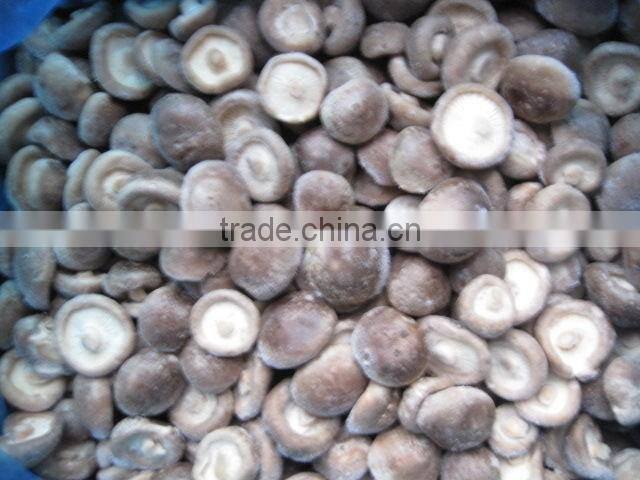 Frozen shiitake mushrooms high quality,hot sale
