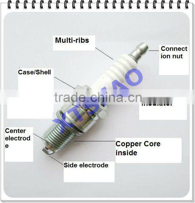 Generator Spark Plug