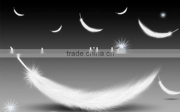 70% White Duck Down Four Season Duvet