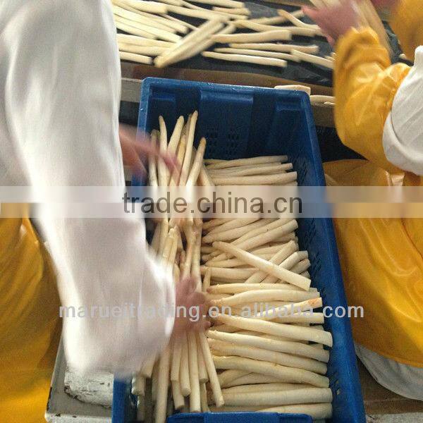 shangdong canned asparagus