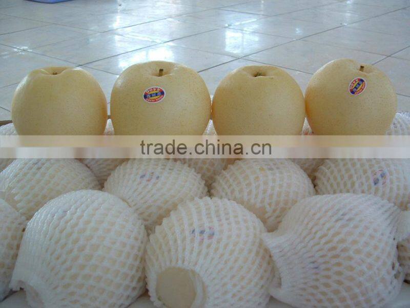 Chinese Golden Pear 9kg 18kg Carton