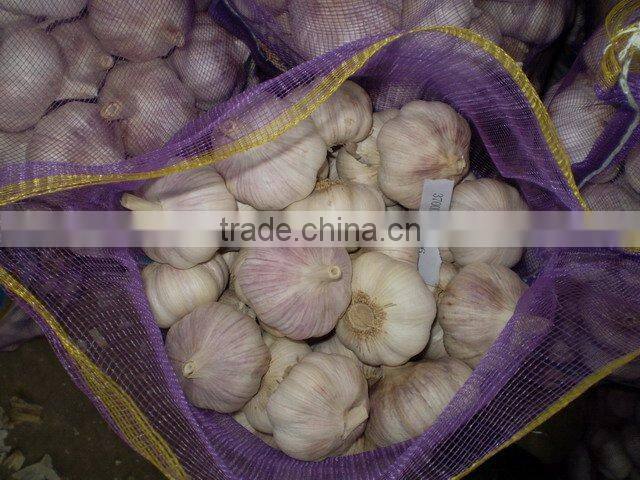 Sell Fresh vegetables-garlic, ginger, onion, potato
