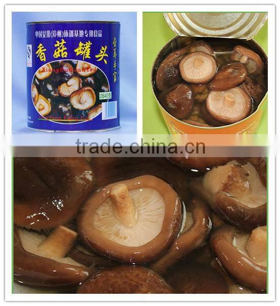 Good quality canned Shiitake mushroom