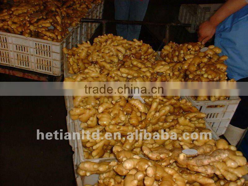 dried skin fresh ginger
