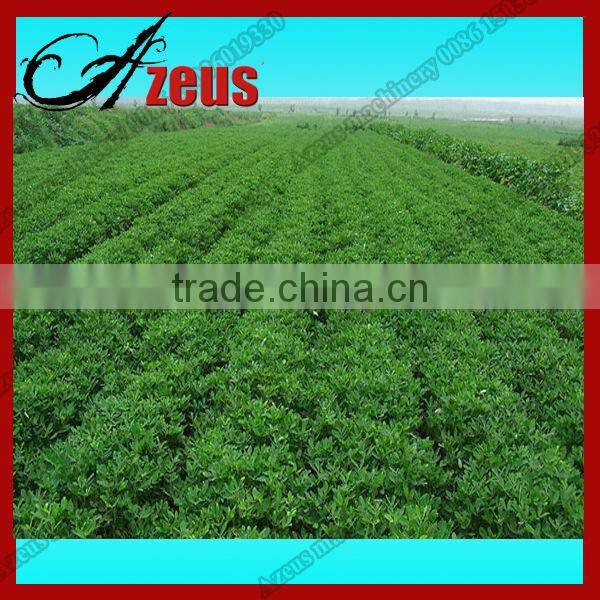 Automatic Self-propelled Mini Peanut Harvester for Sale 0086 15036019330