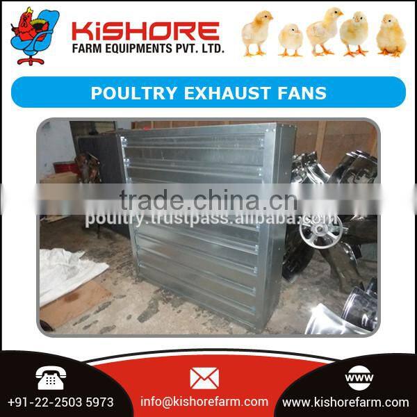 Hot Selling Professional Automatic Poultry Broiler Farm Equipments