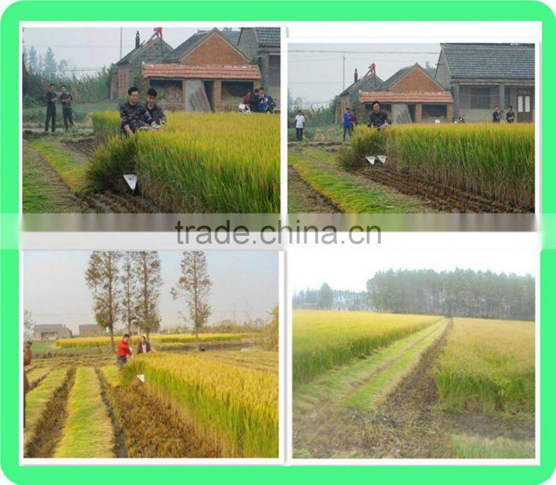 Competitive price five rows mini professional rice Harvester