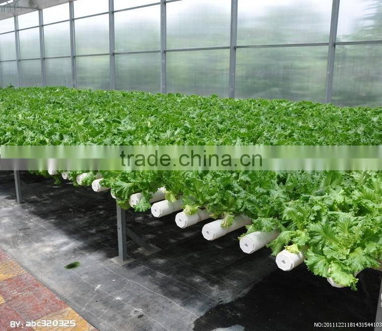 Large Multi-span commercial greenhouse ,agricultural greenhouse ,vegetables greenhouse