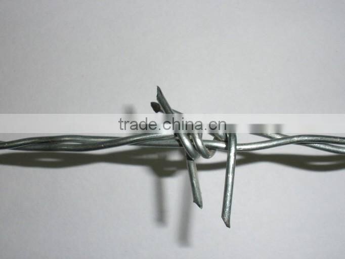 Galvanized iron Coiled Barbed Wire