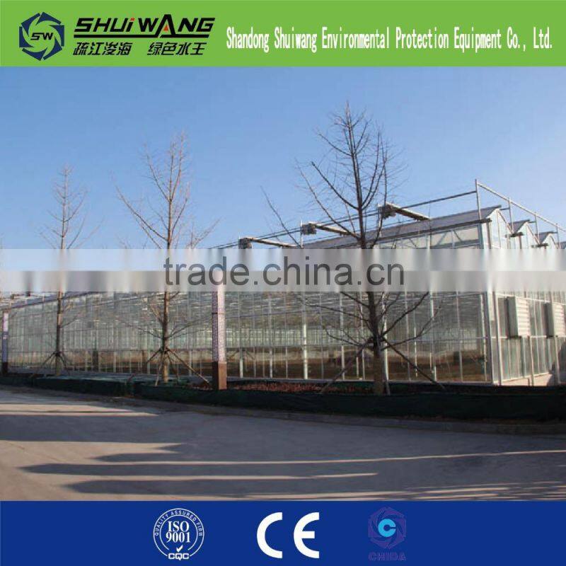 commercial glass greenhouse supply china shuiwang