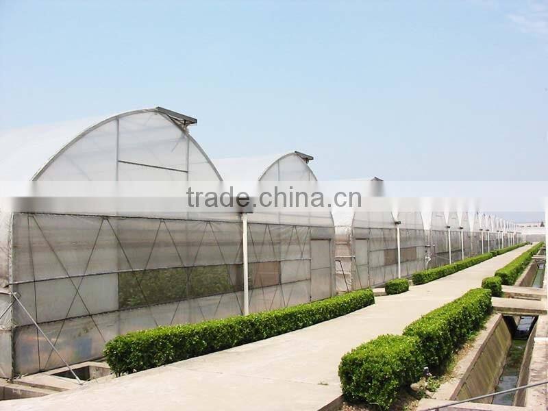 Film single-span sunlight greenhouse