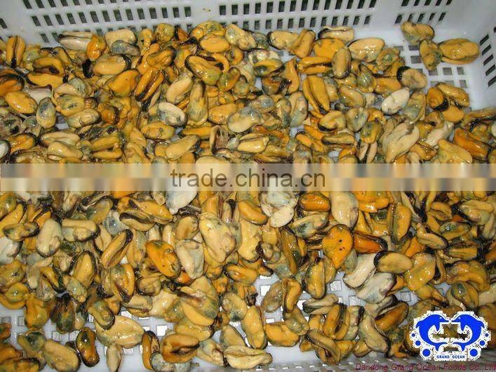 seafood frozen boiled vacuum packing mussel meat