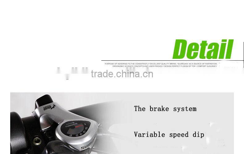 20 inch electric mountain folding bicycle made in Zhejiang