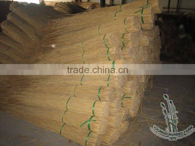 nice water reed for roof thatching