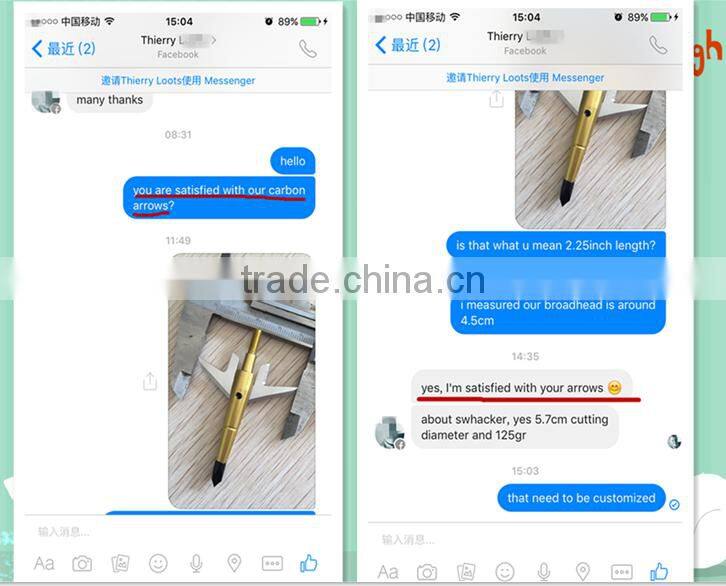 Carbon Arrows With Automatic Lighted Led Nocks/S nocks And Blazer Vanes