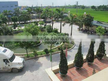 PP Woven Bags Exported to USA