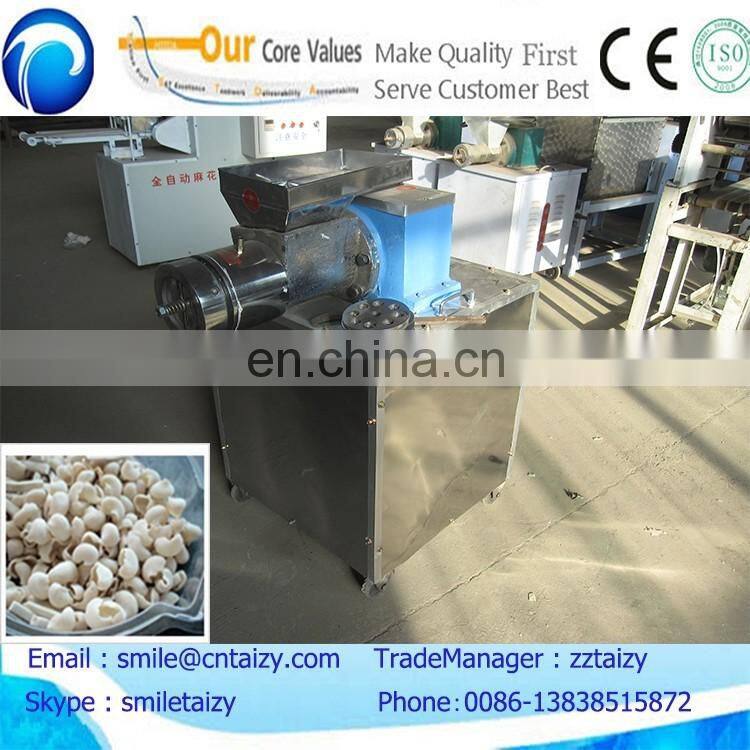 falcon pasta maker/ automatic pasta machine/ commercial pasta making machines