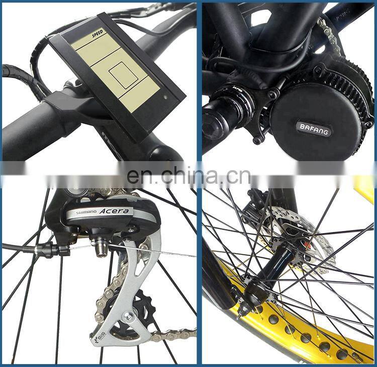 Customizable Electric Long Range Maximum 100KM Mountain Bike with LCD Display 100-240V Smart E-bicycle BEBFR26DM