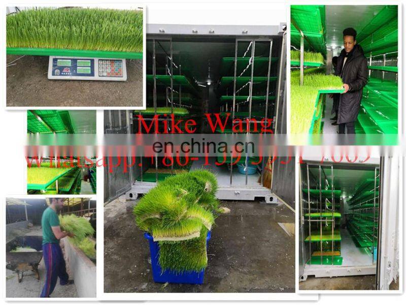 factory price professional automatic 1000kg/day green barley grass hydroponic fodder machine/hydroponic fodder container