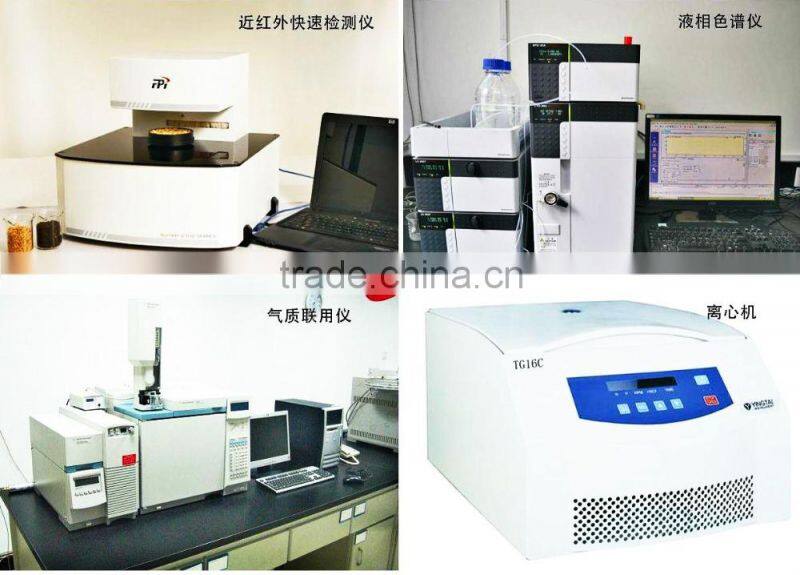 High Quality Matcha Green Tea Powder