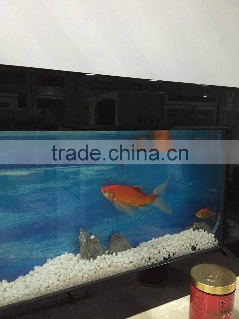 Wall hanging aquarium,Wall monted fish tank