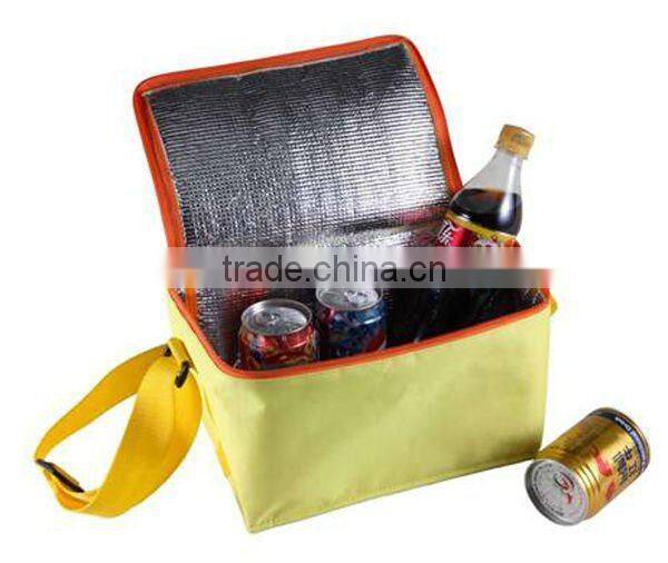 cooler bag for frozen food