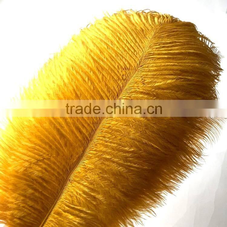 New Style Natural 10-12 Inch Ostrich plumes for party Decorations