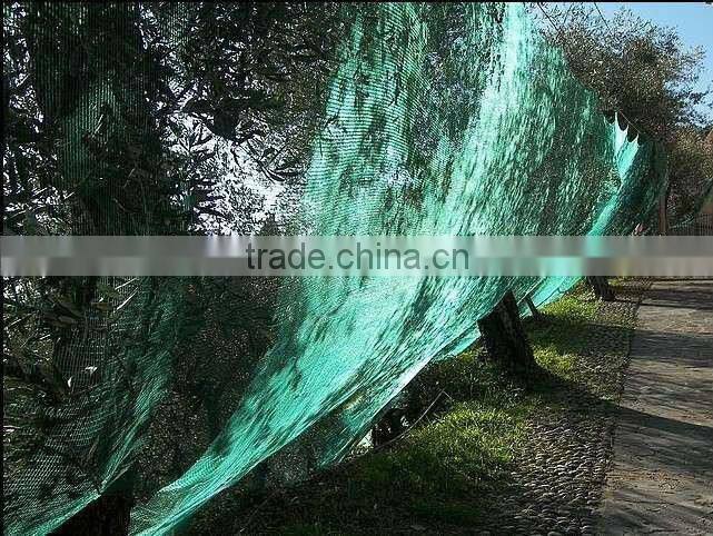 100% HDPE olive net