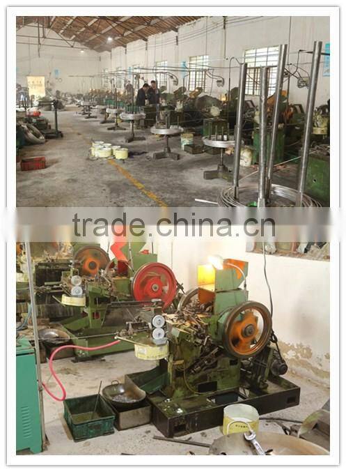 china cheap pan head phillips self tapping stainless steel screw