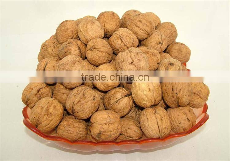 walnuts paste 100% pure first quality for bakery and gelato