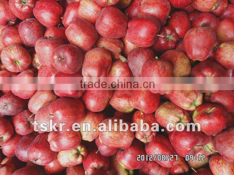 himachal apples from apple hometown