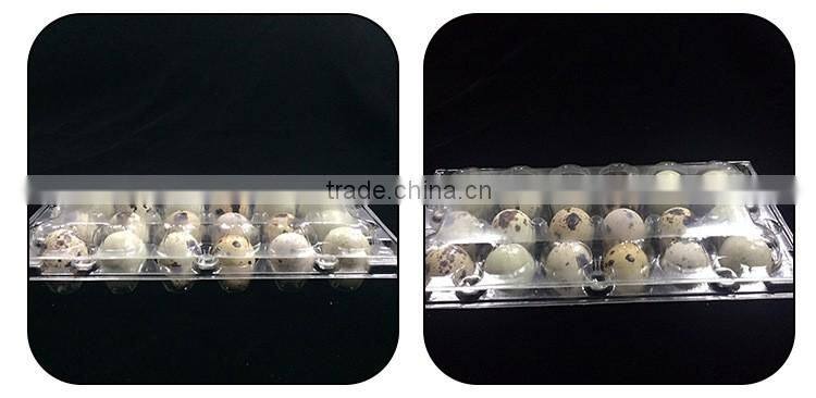 Plastic quail tray quail egg packaging quail egg cartons for sale