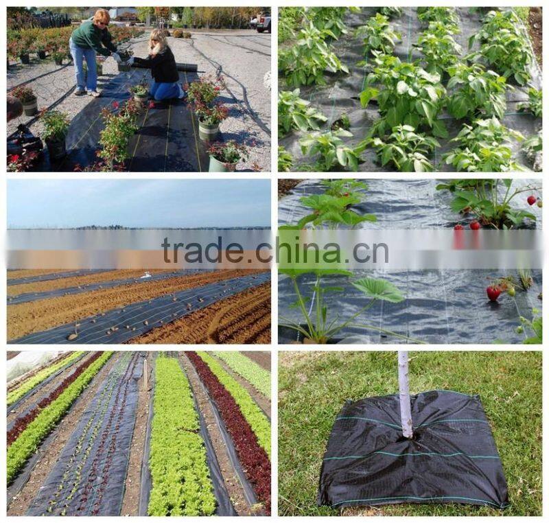 4M Wide Weed Control Landscape Fabric Membrane Ground Cover 100 GSM Heavy Duty