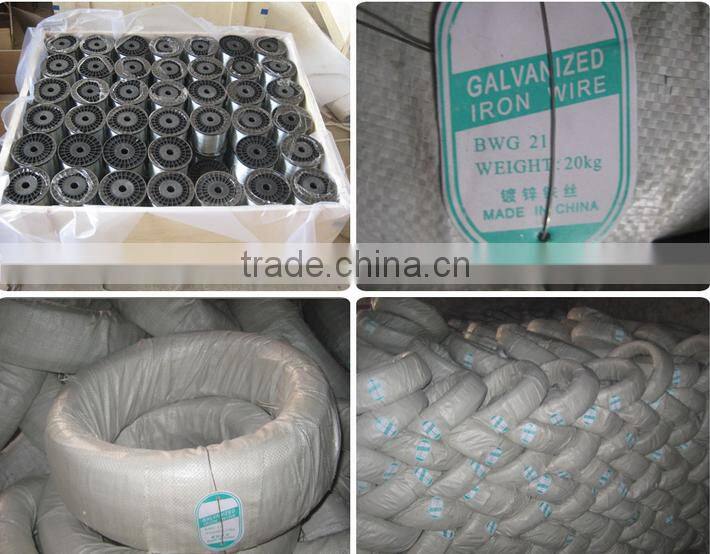 Electro galvanized wire & Hot-dipped galvanized wire