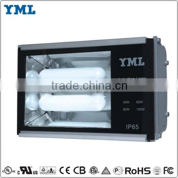 Induction Lamp Tunnel Light Commercial Lighting Company