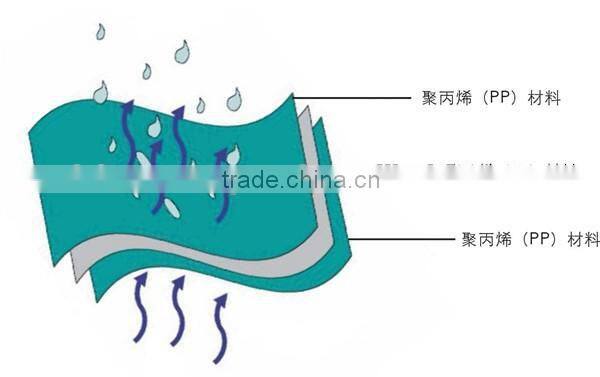 Environmental friendly PP+PE+PP 3 layers waterproofing and breathable membrane