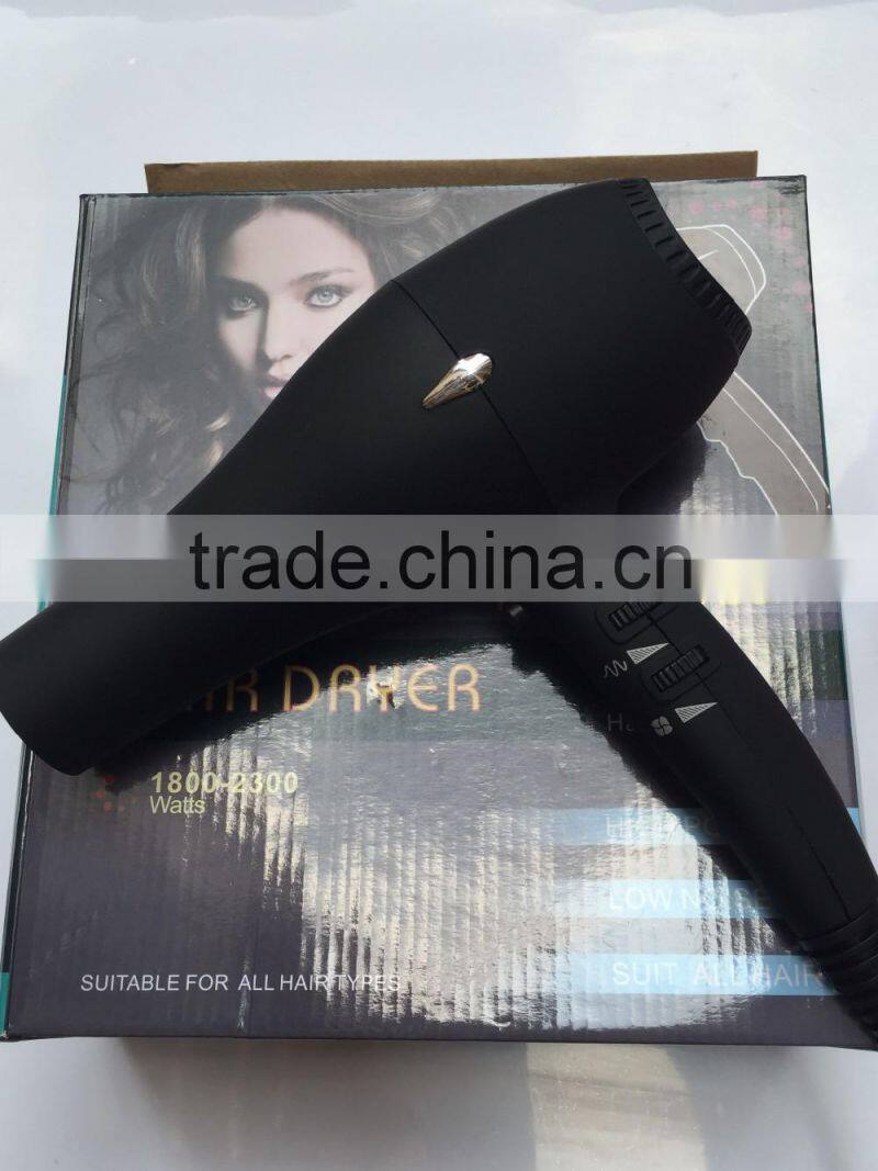 Salon Use Professional Hair Dryer Super Silent With AC Motor