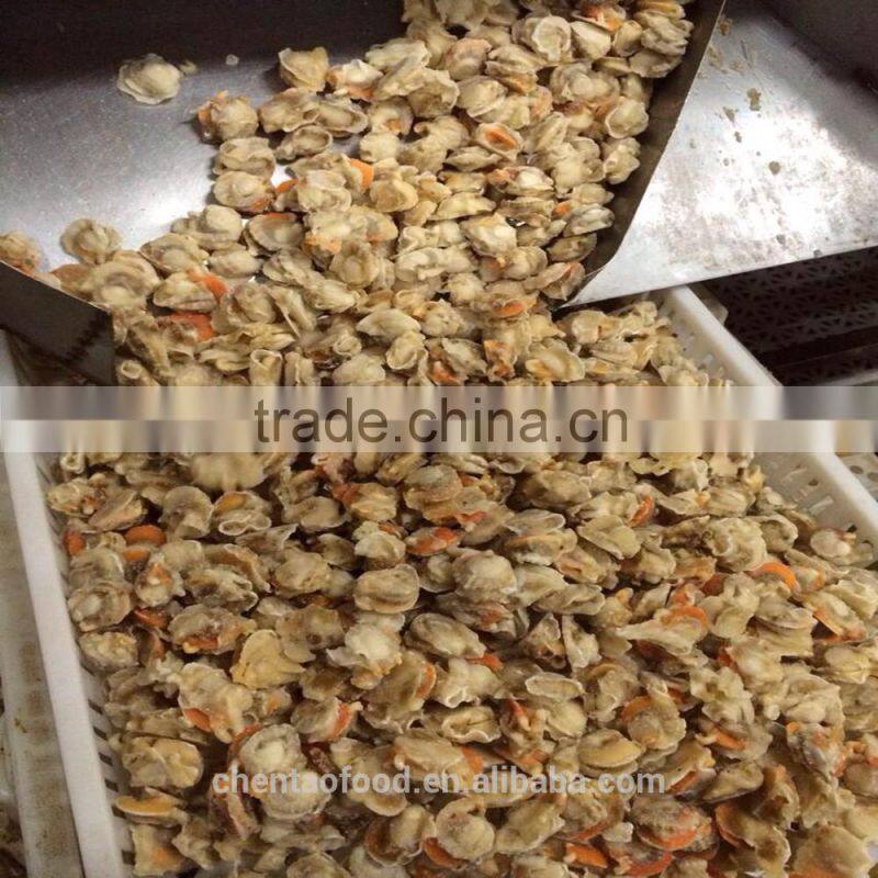 Frozen Scallops(japanese scallops)