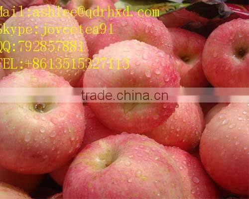 Apple Fuji India Pakistan Southeast Asia Europe UAE south africa