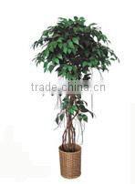 wholesale indoor plasitc ficus/benjamin tree