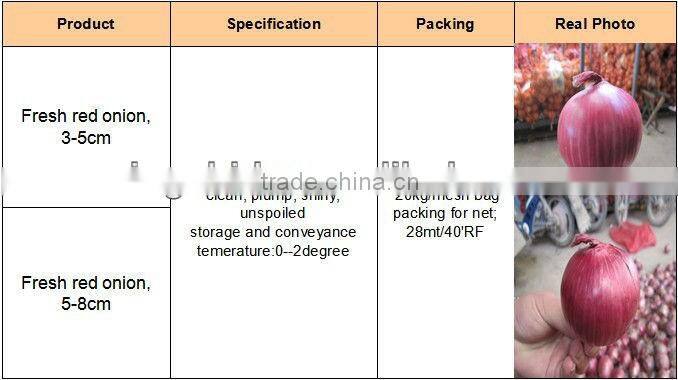 Fresh yellow onion , good quality Gansu origin