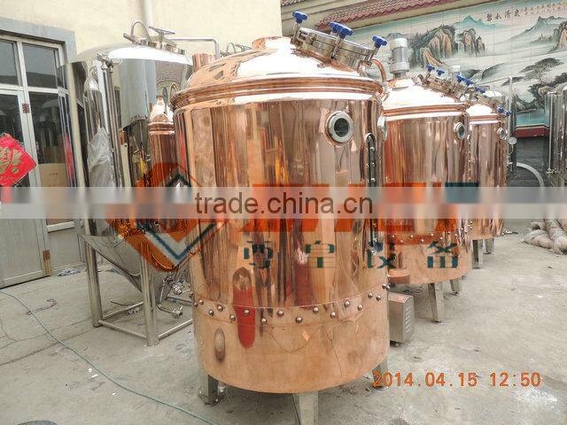 500l professional beer brewing equipment