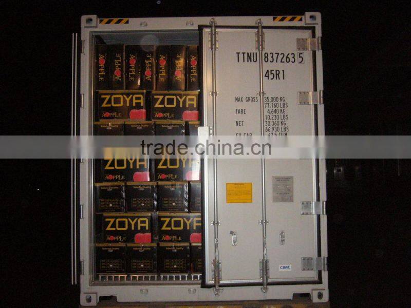 Fresh Fruit Apple for India Market