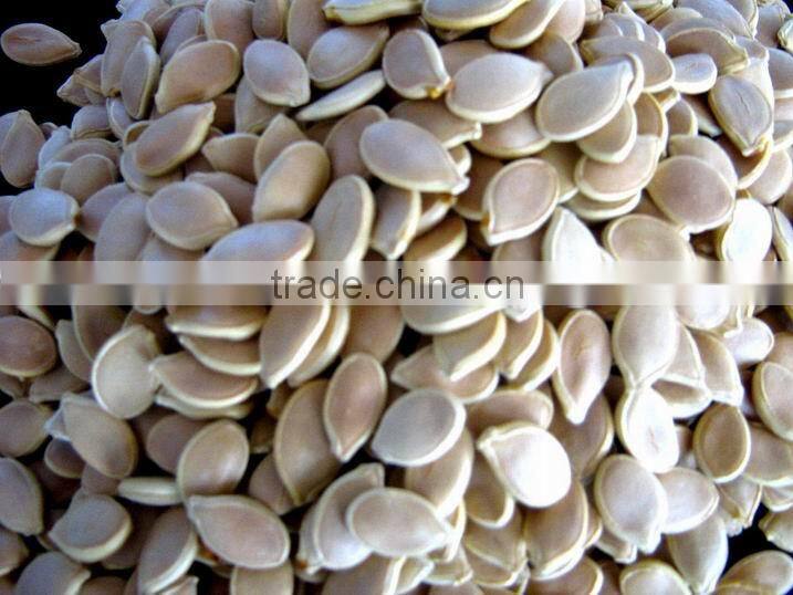 Top High Quality Multiple Extract Ratio-Pumpkin Seed Extract---harvest pumpkin seeds From SinoBNP