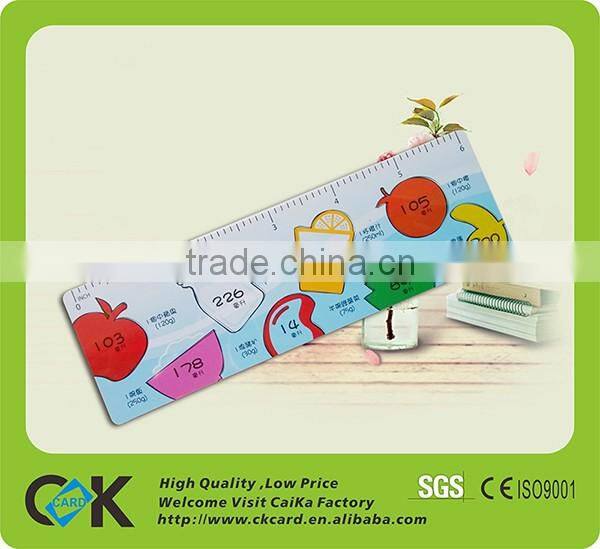 Customize PVC colorful ruler stationery set