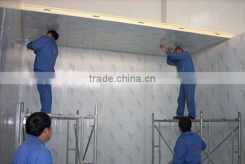2016 Electrical Supporting Food Machinery Fruit Meat Seafood Cold Storage Room Price