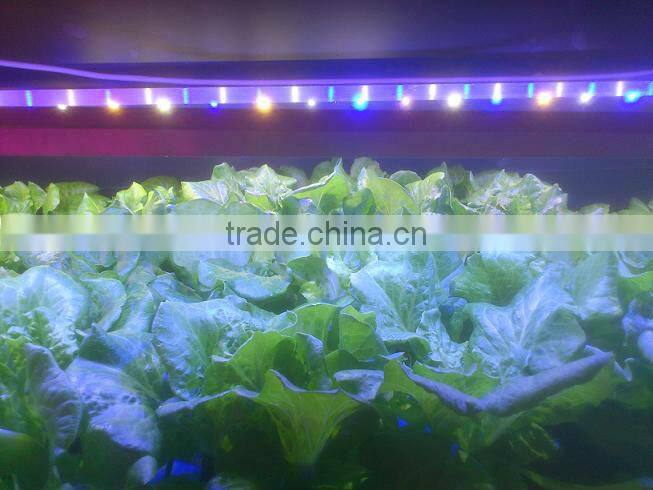 Hydroponic flower 42w led grow light strip for plants growth